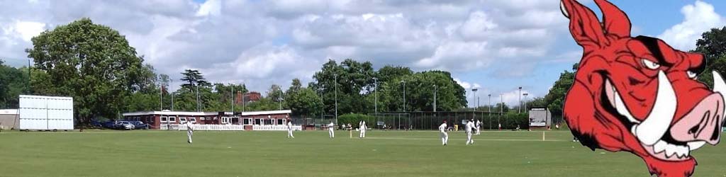 St Godwalds Park